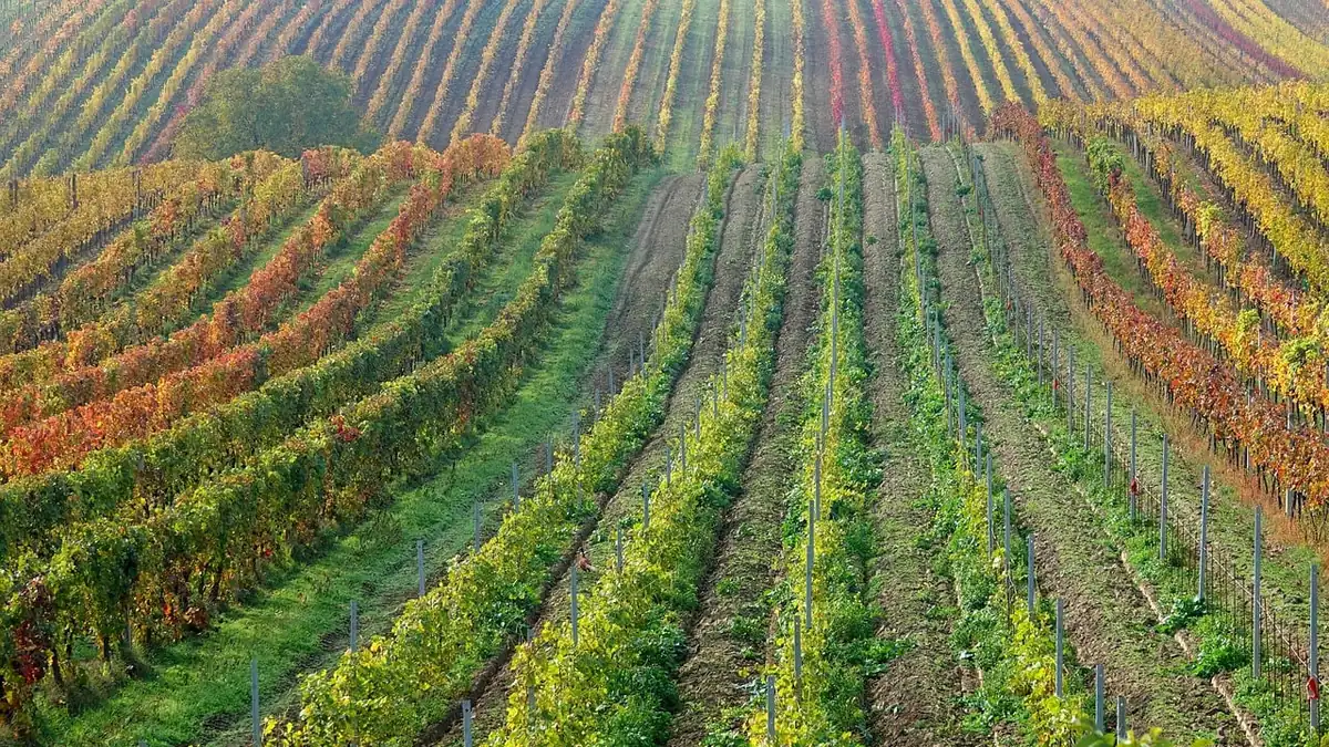 Aprire un'attività nel Canton Zurigo: registro di commercio e costi