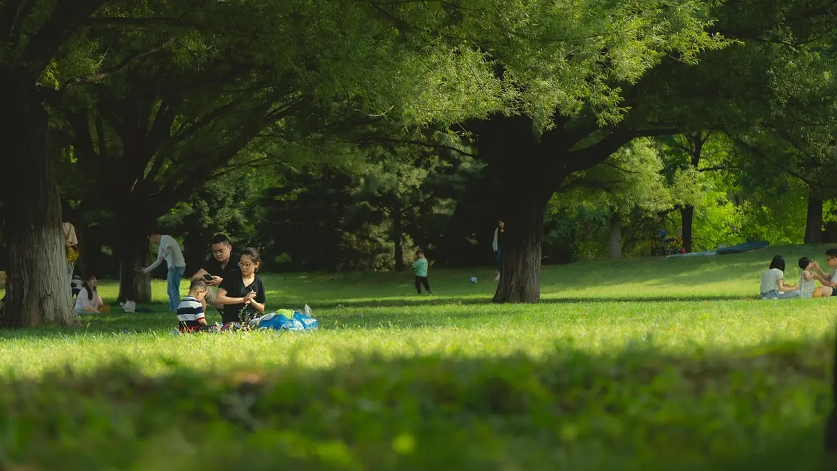 Custodia bambini in Svizzera: strutture, tariffe