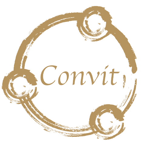 Logo Convit Holding GmbH