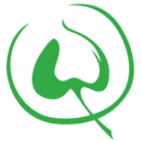 Logo Lindenhofgruppe