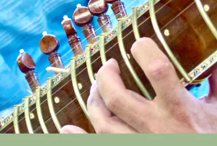 Clés de découverte des musiques et danses d'Inde du Nord | Les fondamentaux de la musique classique hindoustanie