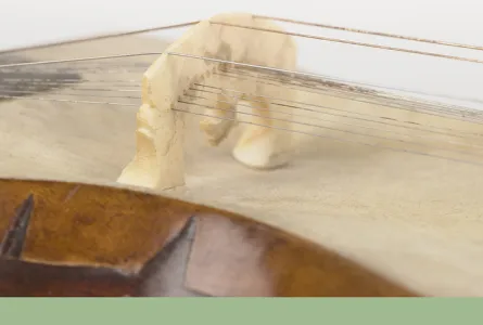 Clés de découverte des musiques et danses d'Inde du Nord | Instruments à cordes et lutherie en Inde du Nord