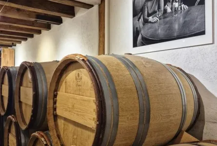 ESCAPADE VITICOLE : AU CŒUR DU TERROIR GENEVOIS