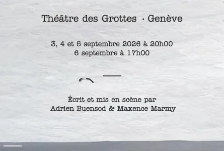 Le vol des mouettes