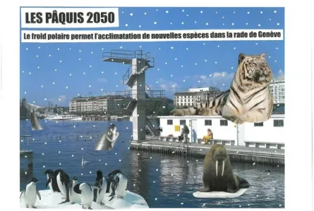 LES PÂQUIS DU FUTUR