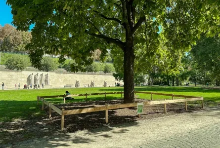 Le parc des Bastions : Patrimoine arboré et défis de conservation