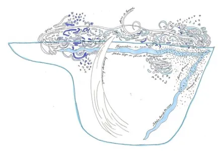 Les respirations du Léman en chansons