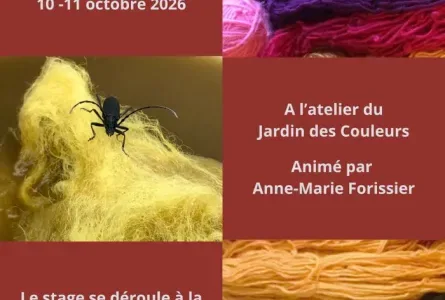 stage de découverte de la teinture de la laine