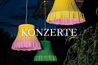 « Musik und Szene in Transformation » Master Festival