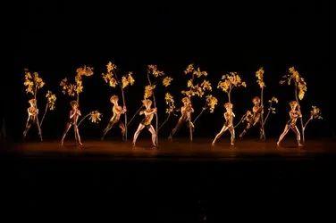 Momix - Botanica