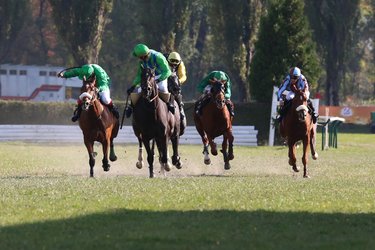 Internationale Pferderennen Maienfeld