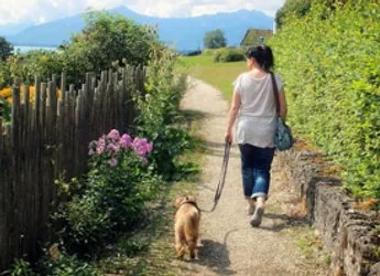 Trotz Rheuma in Bewegung bleiben - für mehr Lebensqualität