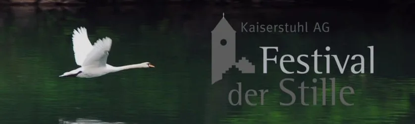 Konzert zum 100. Todesjahr von Hermann Suter mit Tino Brütsch