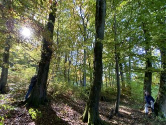 Natur- und Waldbaden
