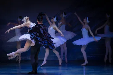 Schwanensee - International Festival Ballet & Orchestra