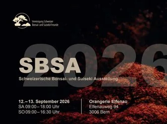 Exposition suisse de bonsaïs et suiseki SBSA26