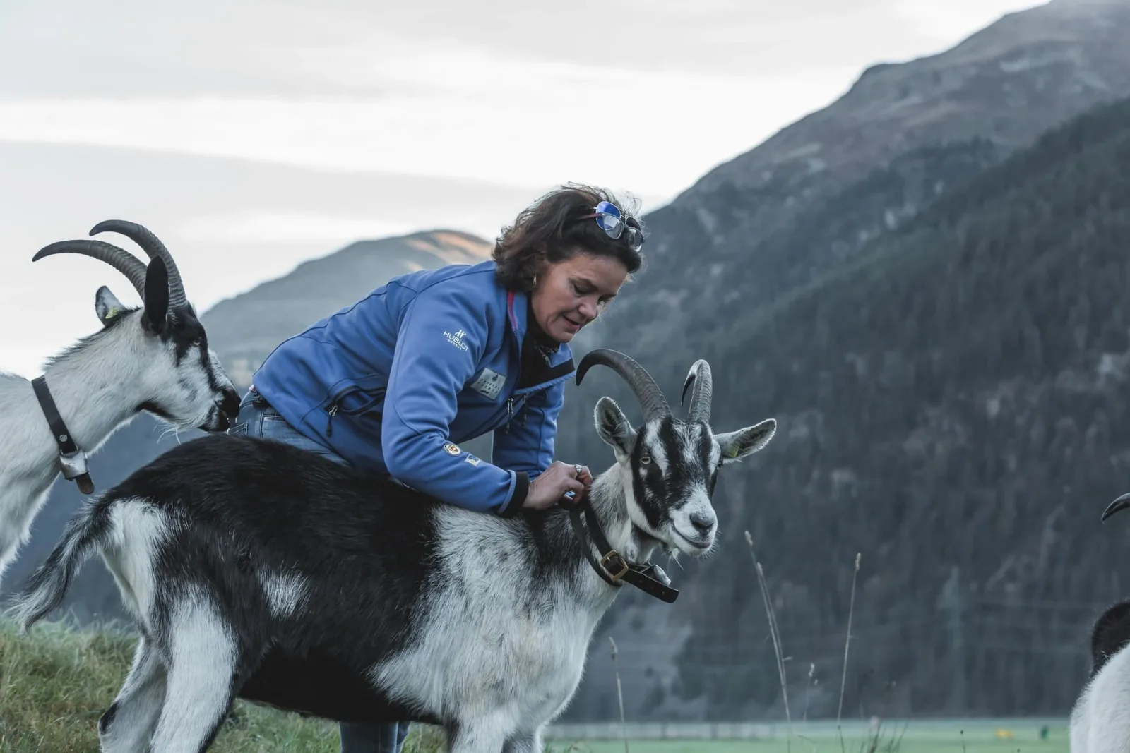Goat experience: Trekking with picnic or outdoor glacier fondue