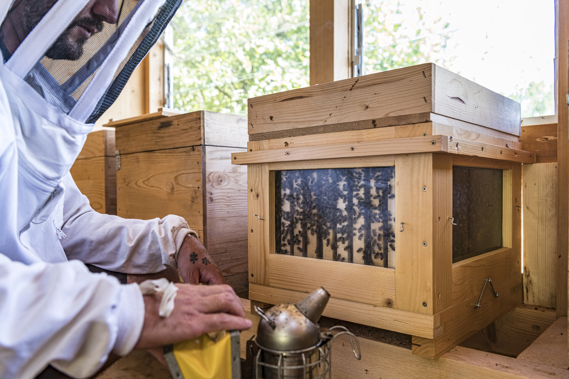 Offenes Bienenhaus