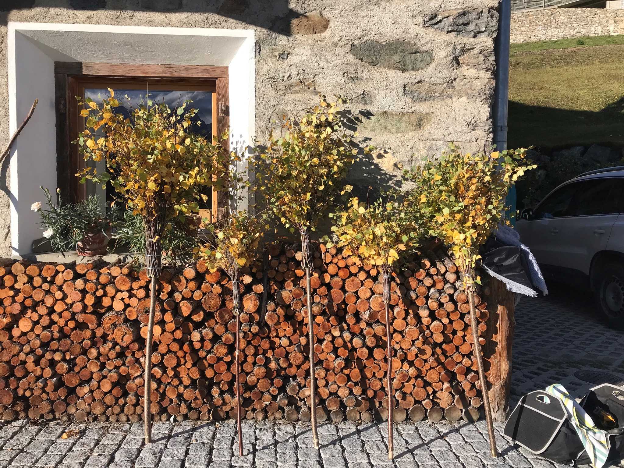 Alte Techniken entdecken - Besen binden