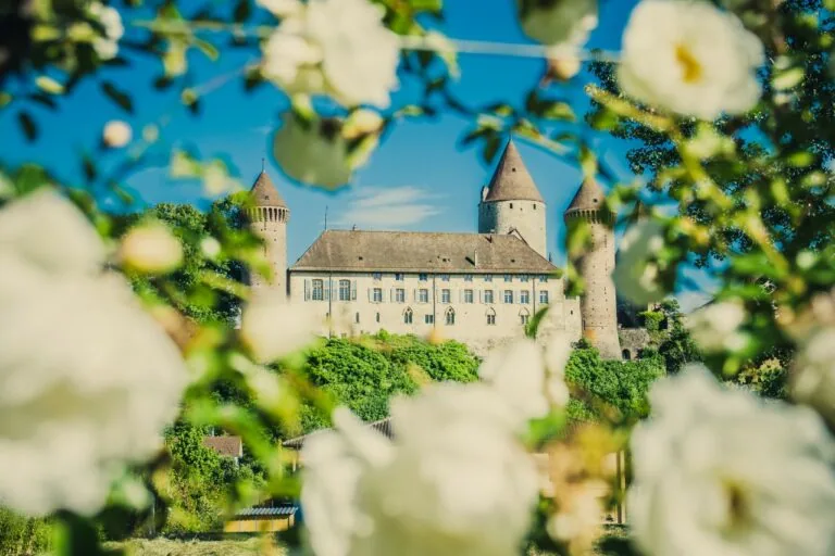 Festival des Roses