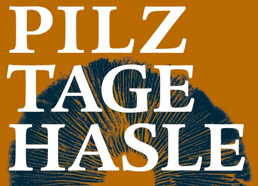 Pilz Tage Hasle - ein 4-Tages-Pilzkurs
