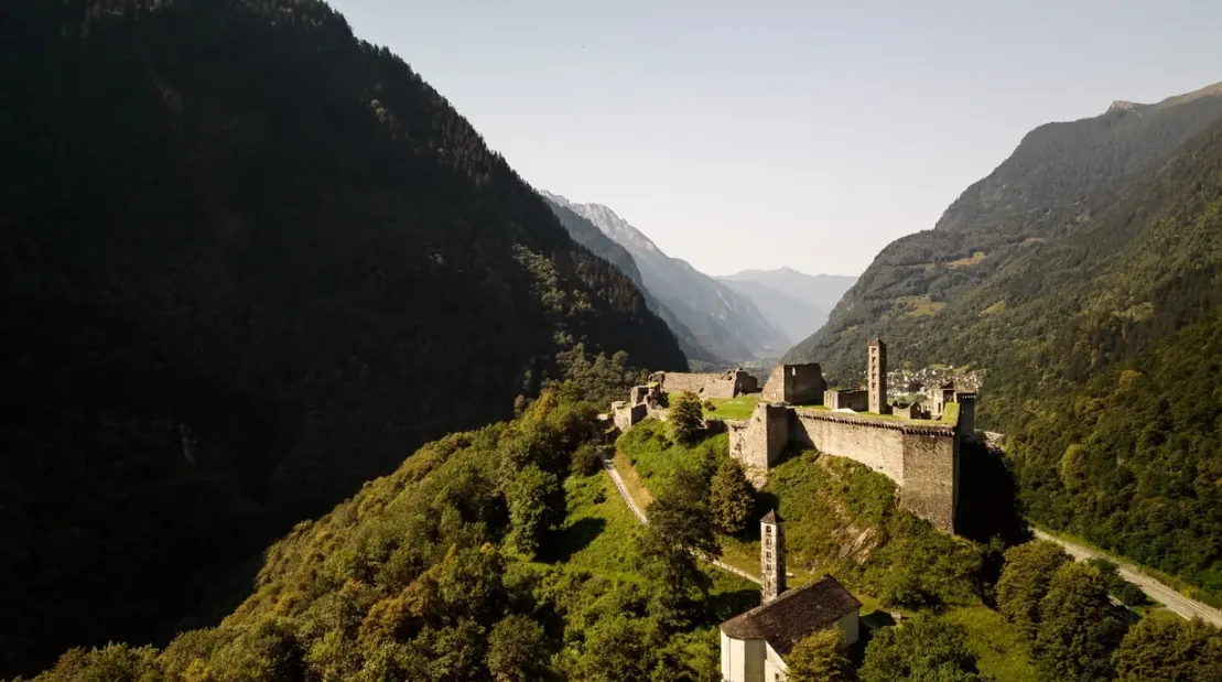 Konzerte des Zentrums