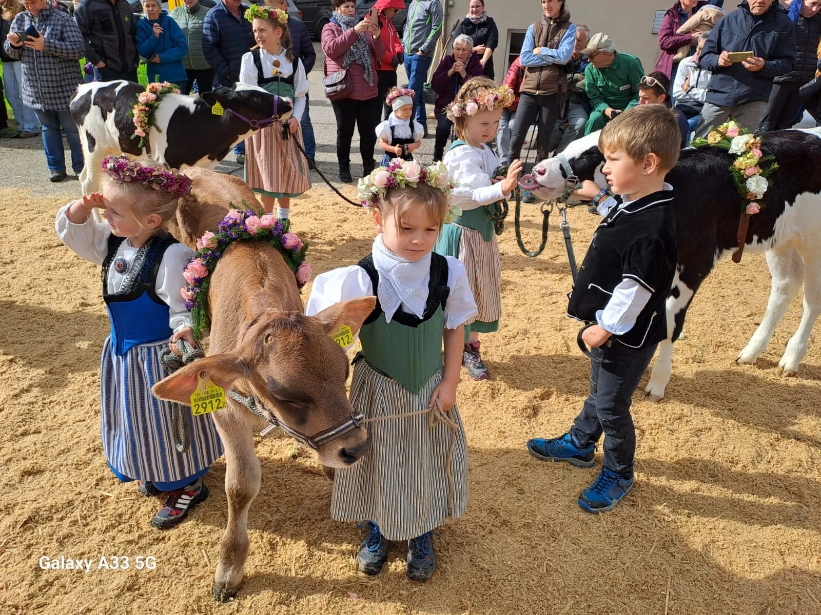 Viehschau, Kuhparade & Oldtimer - Traktoren - Corso