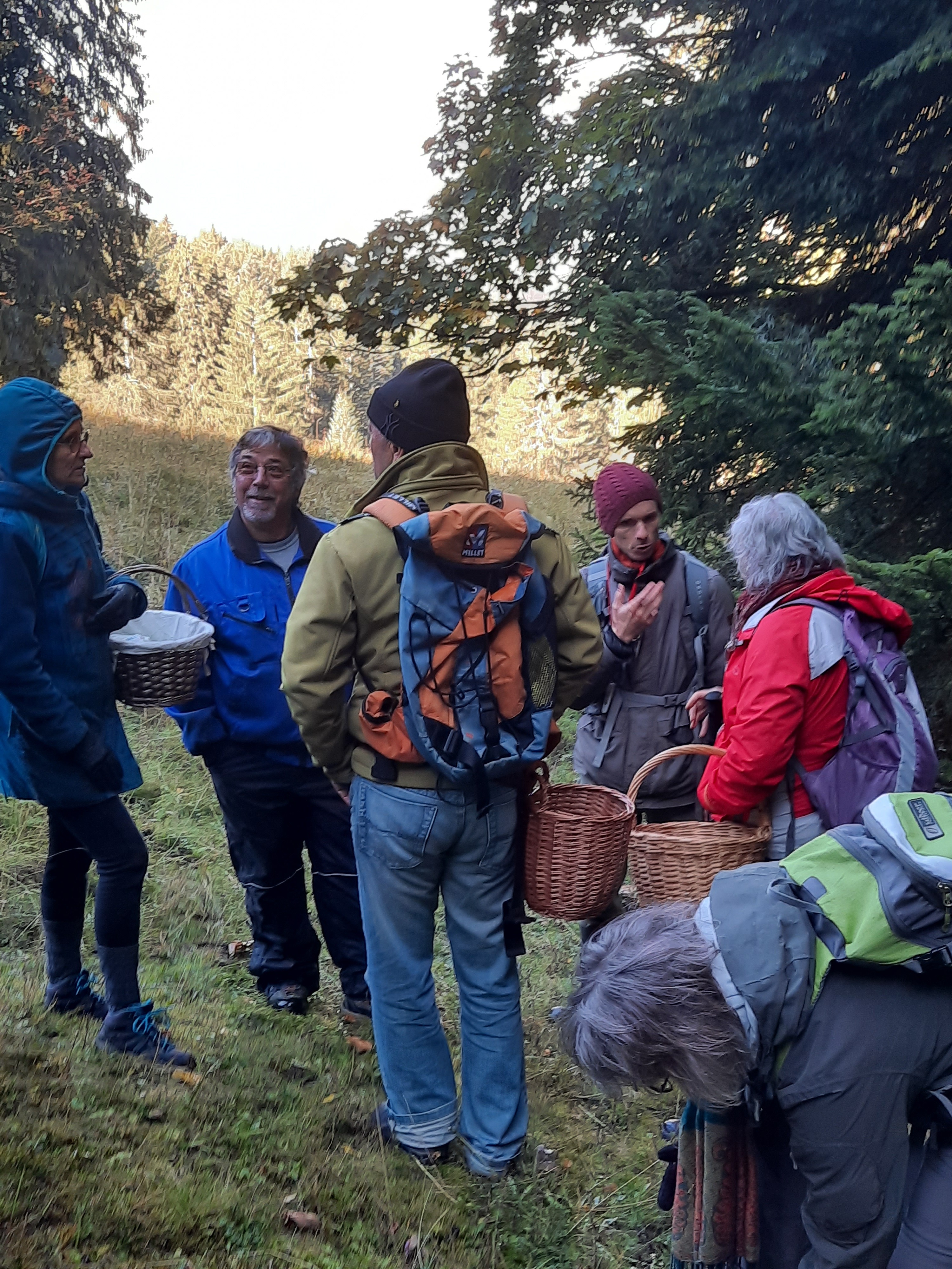 Balade à la découverte des champignons alpins