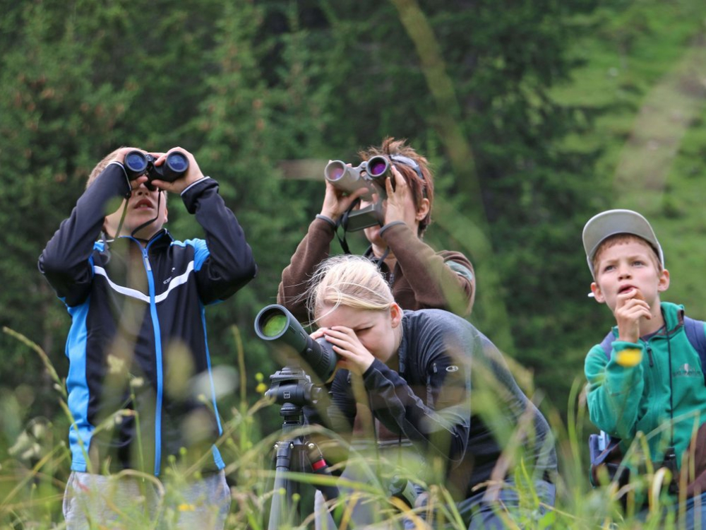 Exkursion: Steinbock, Adler, Gämse und Co.
