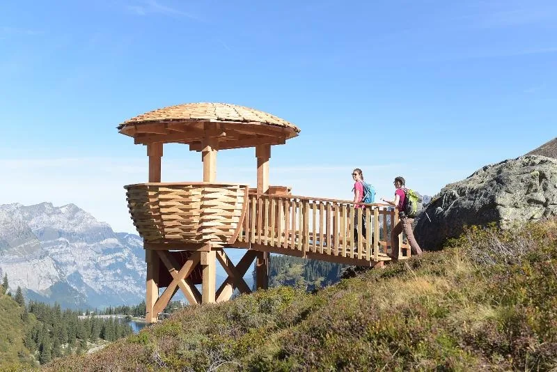 Geführte Wildbeobachtung auf der Mettmen Alp