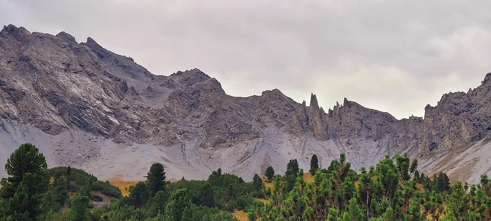 Meeresböden im Schweizer Nationalpark