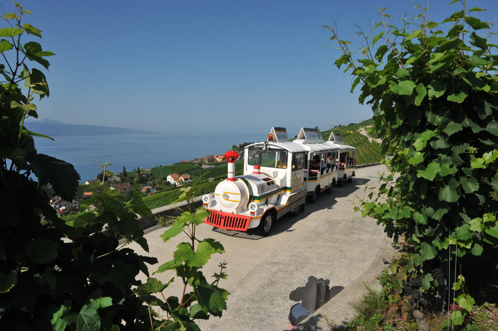Petit train touristique Lavaux Panoramic