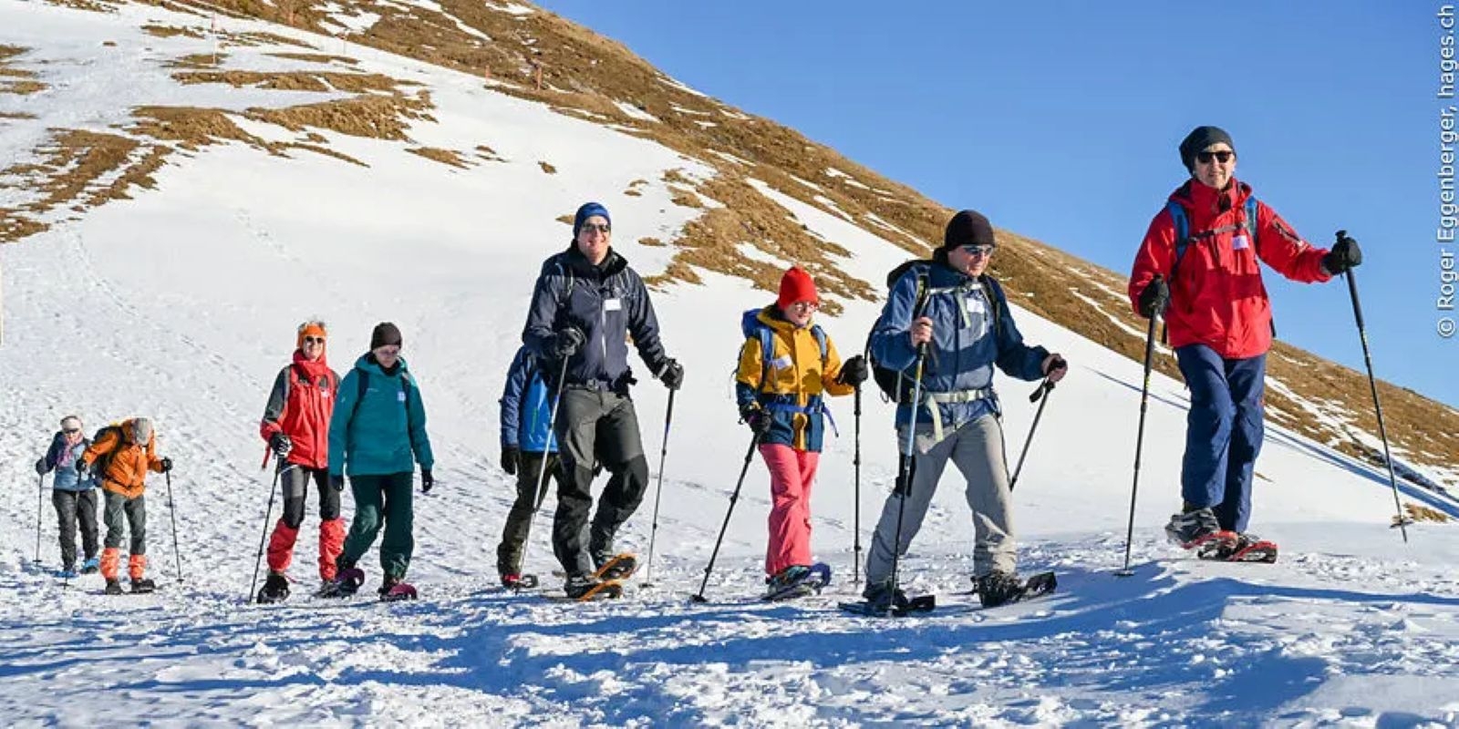 Leben in der Winterruhe