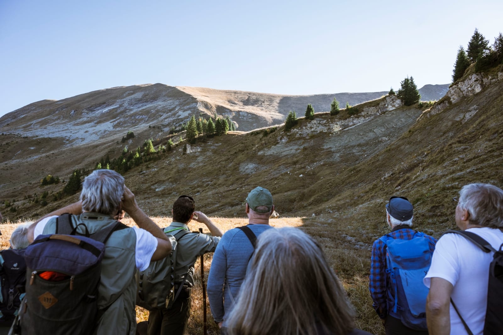 Waldwelt Grünenbergpass: Naturtag