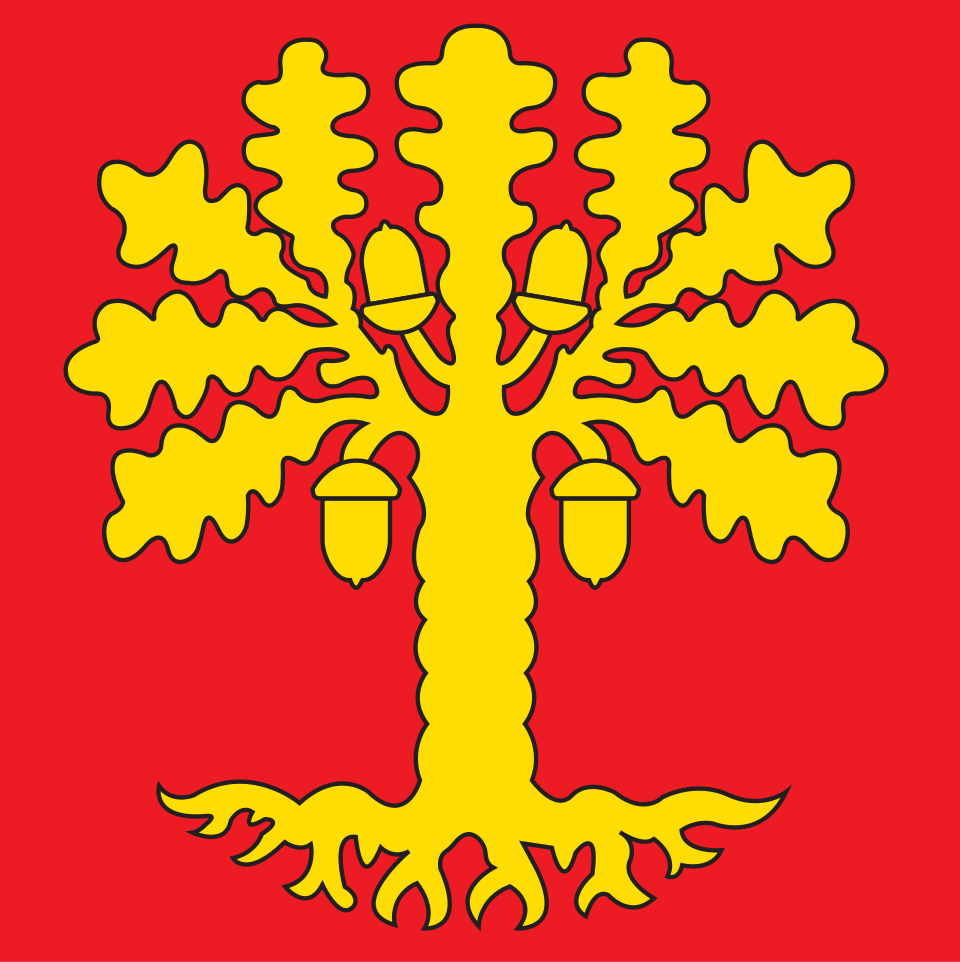 Lanternada e accensione albero