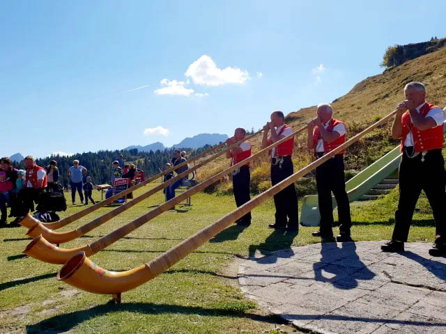Herbstchilbi auf der Gamsalp