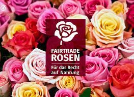 Konfirmationsprojekt Rosenverkauf