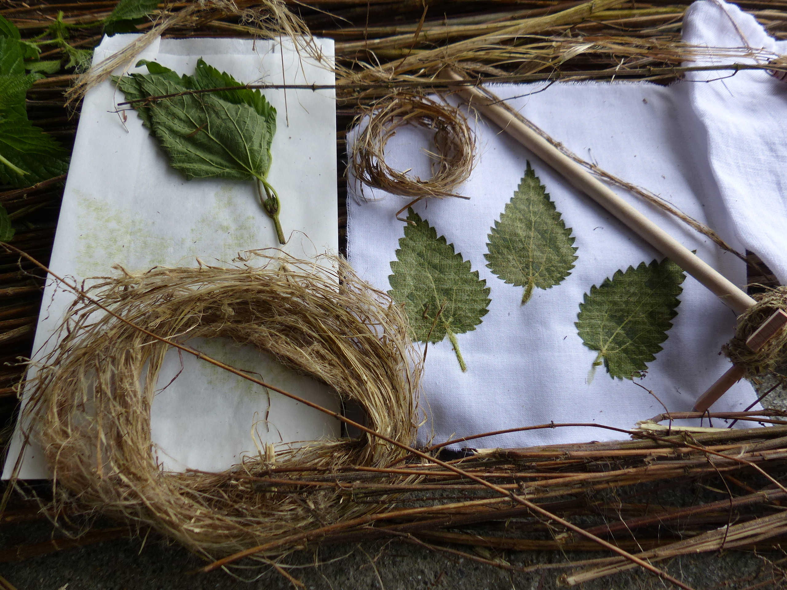 Magic of the nettle - The threads of slowness