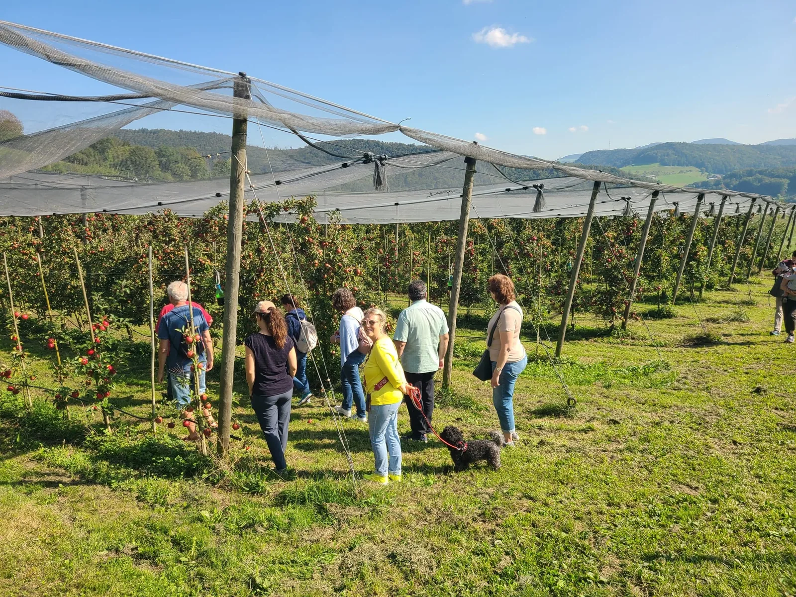 Betriebsführung auf dem Obsthof Kleiber