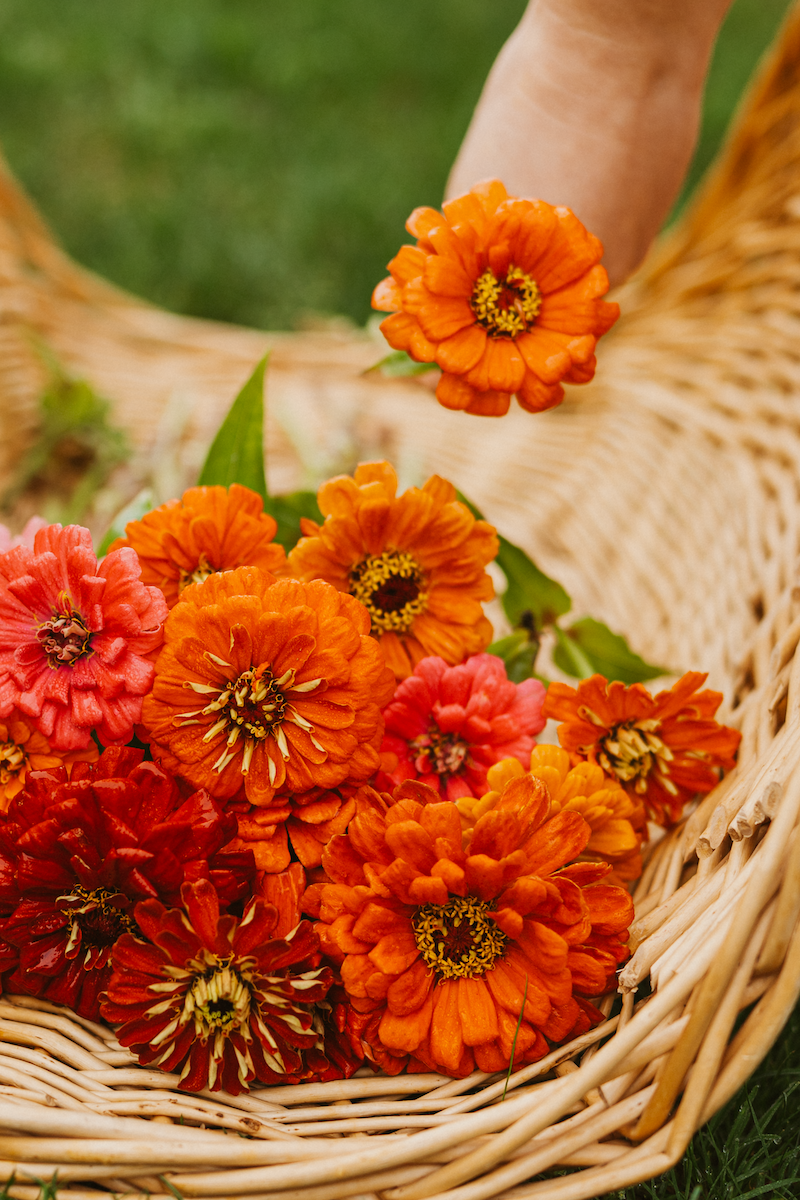 flower workshop with september blooms