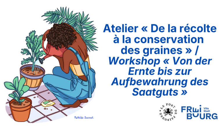 Atelier « De la récolte à la conservation des graines »