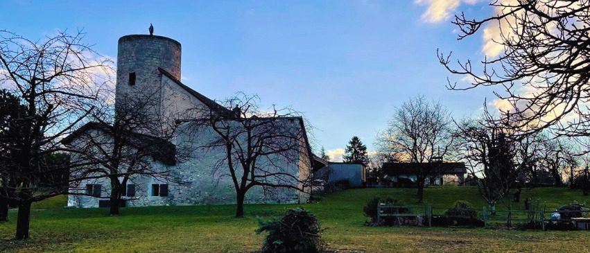 Visite guidée de Plan-les-Ouates : Saconnex-d'Arve