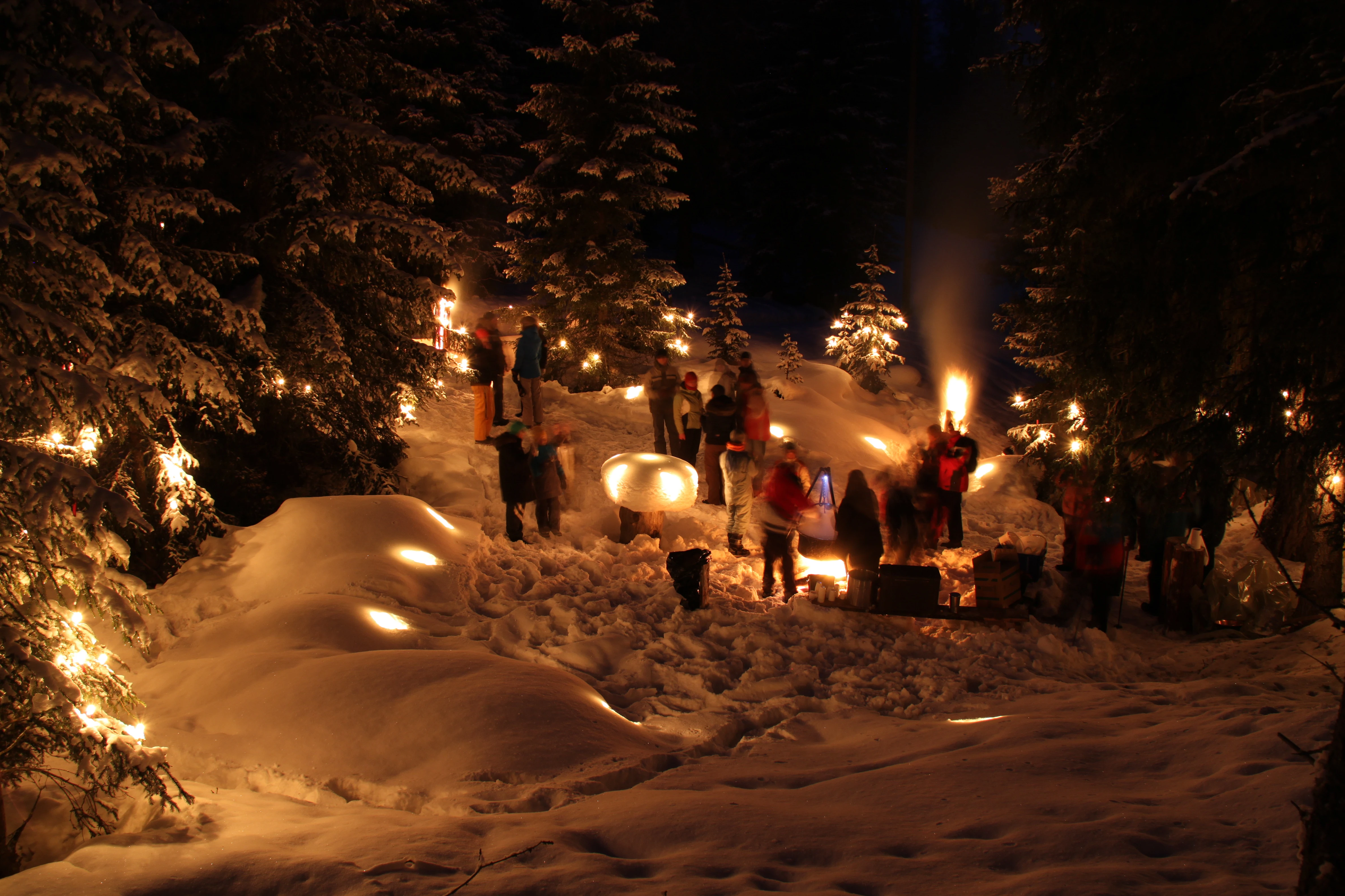 Forest Christmas Cinuos-chel
