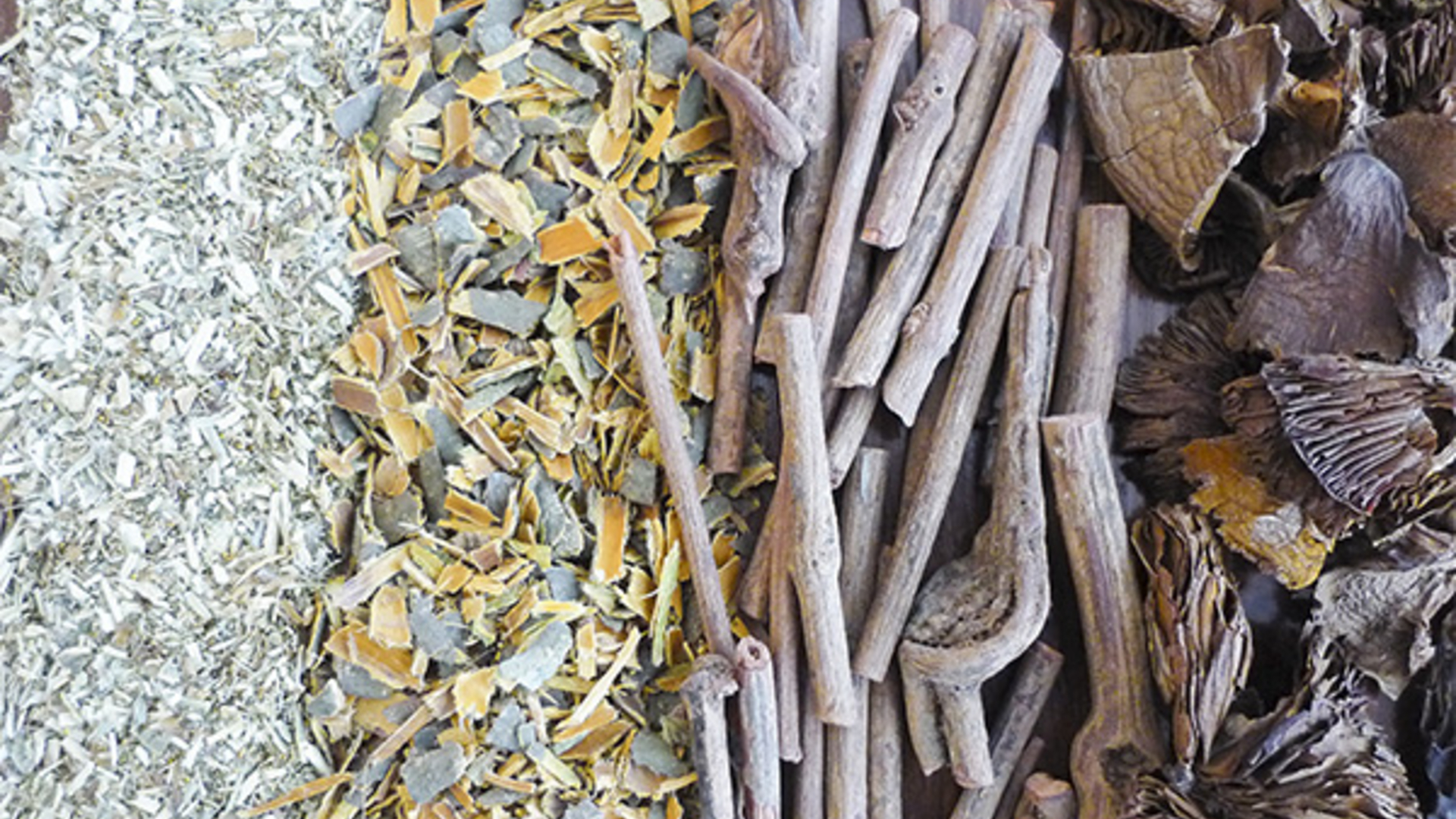 Une odeur de forêt: teindre avec des champignons et des lichens