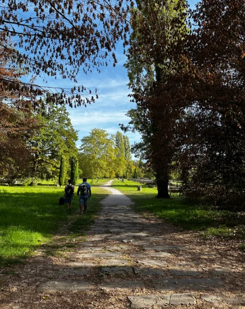 Lousonna, parc archéologique