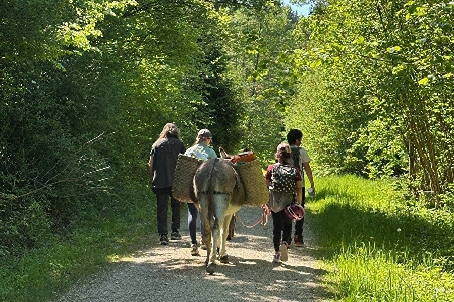 Journée des poneys et des ânes