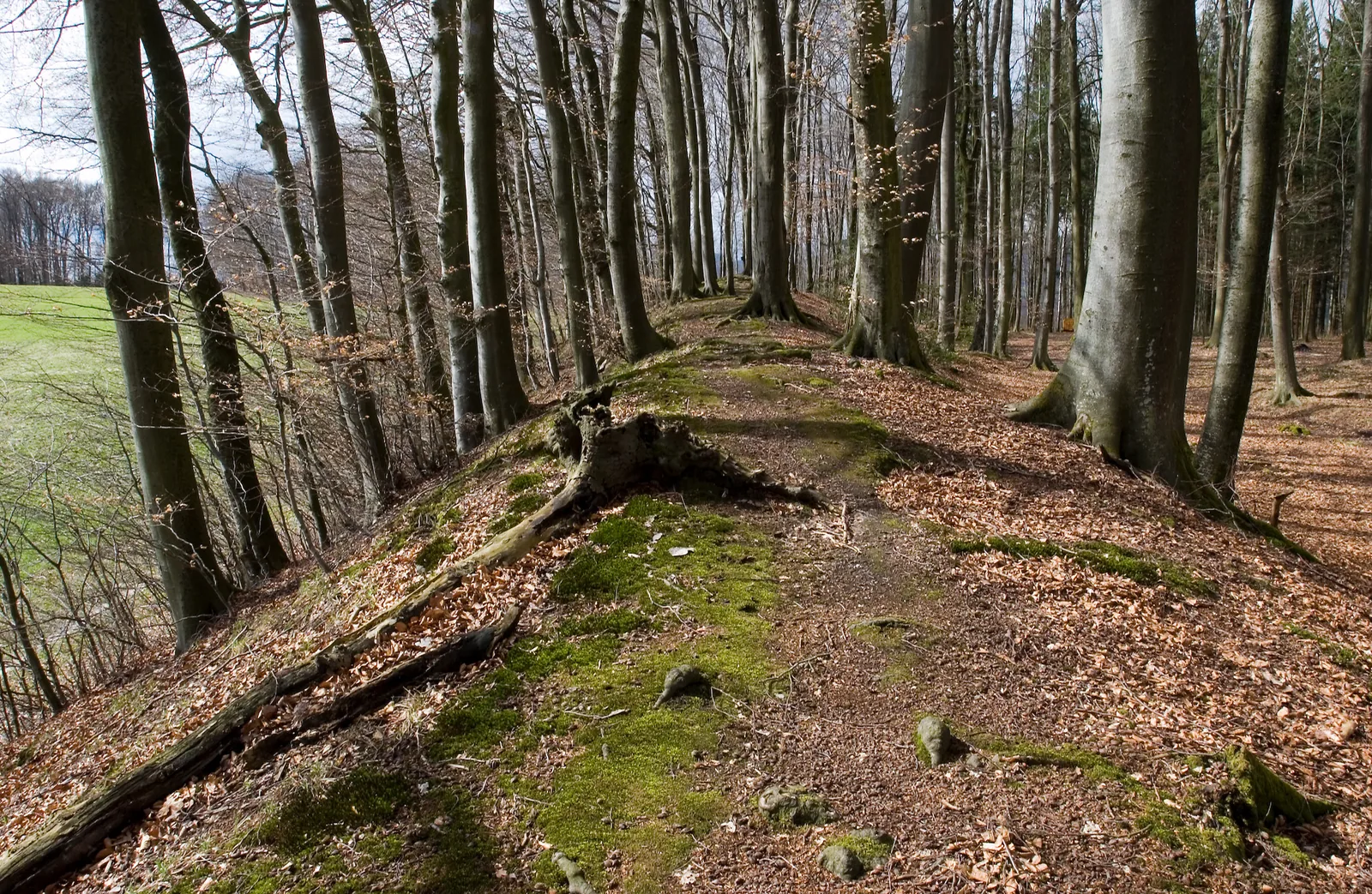 Prähistorische Befestigung Buechholz