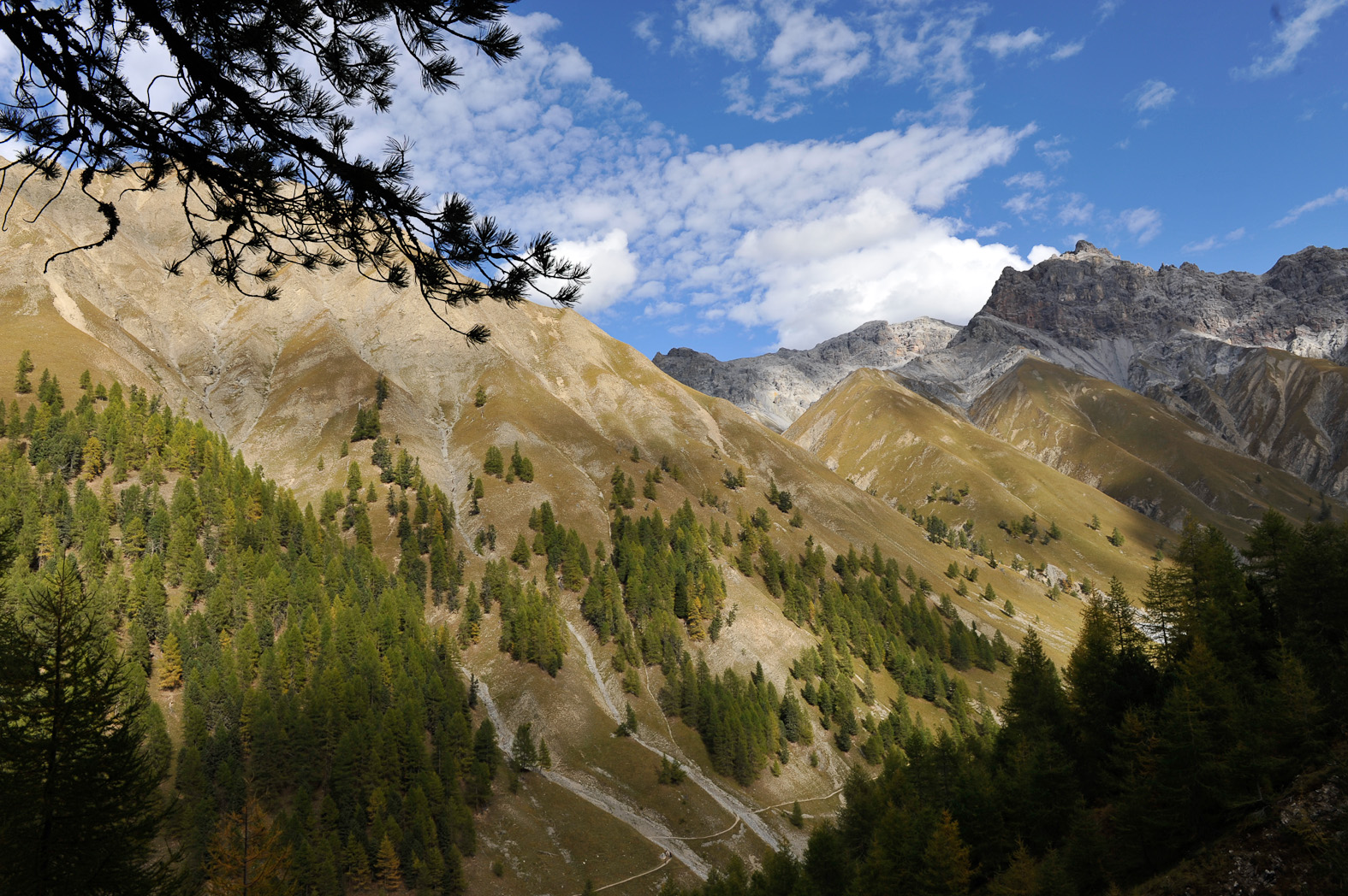 Escursione guidata Val Trupchun