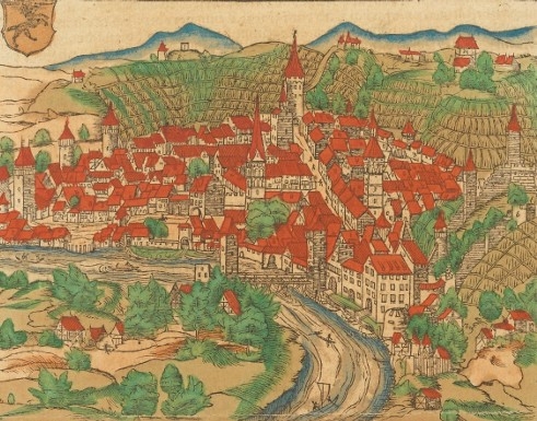 Redécouvrir Schaffhouse ̶ Un voyage dans le temps archéologique et historique