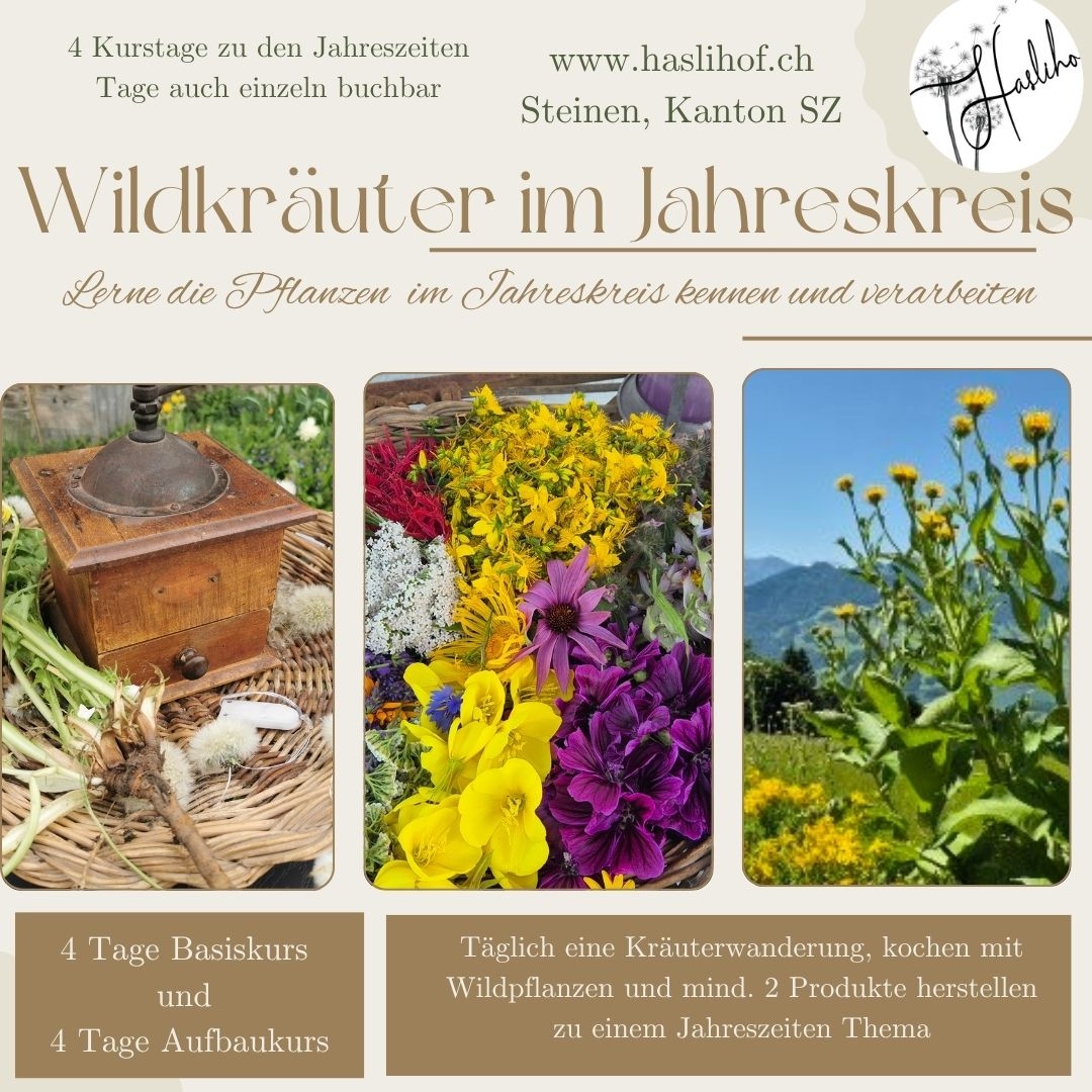 Wildkräuter im Jahreskreis 2026